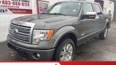2012 Ford F-150 Platinum | 4X4 | LEATHER | SUNROOF | ECOBOOST | TONNEAU | HEATED SEATS | Stampede Auto