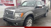 2012 Ford F-150 Platinum | 4X4 | LEATHER | SUNROOF | ECOBOOST | TONNEAU | HEATED SEATS | Stampede Auto