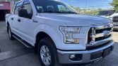 2015 Ford F-150 A01537 | Stampede Auto