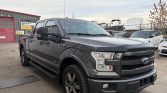 2016 Ford F-150 Platinum Lariat SuperCrew 5.5-ft. Bed 4WD | Leather | Sunroof | FX4 | Tonneau | Bluetooth | Ecoboost | Stampede Auto