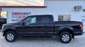 2019 Ford F-150 XLT | 5.0L | 4X4 | CREW CAB | Stampede Auto