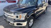 2019 Ford F-150 XLT | 5.0L | 4X4 | CREW CAB | Stampede Auto