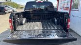 2019 Ford F-150 XLT | 5.0L | 4X4 | CREW CAB | Stampede Auto
