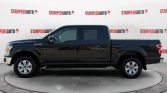 2019 Ford F-150 XLT | Stampede Auto
