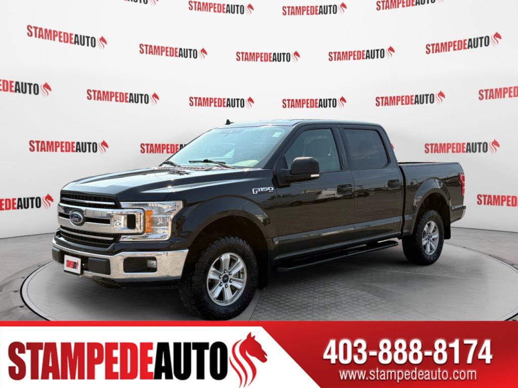 2019 Ford F-150 XLT | Stampede Auto
