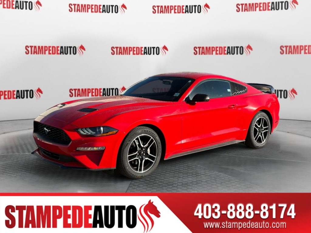2019 Ford Mustang EcoBoost | Stampede Auto