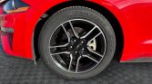 2019 Ford Mustang EcoBoost | Stampede Auto