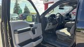 2019 Ford F-150 XLT | 5.0L | 4X4 | CREW CAB | Stampede Auto