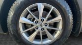 2020 Kia Sorento EX+ V6 | Stampede Auto