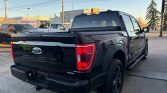 2021 Ford F-150 XLT SPORT 4X4 | Stampede Auto