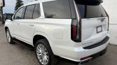 2023 Cadillac Escalade 4WD Luxury LOW KMS | Stampede Auto