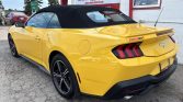 2024 Ford Mustang EcoBoost Convertible 2.3L YELLOW SPLASH EXTERIOR HEATED SEATS | Stampede Auto