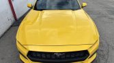 2024 Ford Mustang 127531 | Stampede Auto