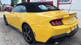 2024 Ford Mustang 127531 | Stampede Auto