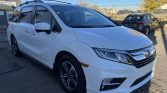 2020 Honda Odyssey | Stampede Auto