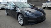 2020 Tesla Model 3 | Stampede Auto