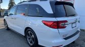 2020 Honda Odyssey | Stampede Auto