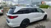 2023 Honda Odyssey | Stampede Auto