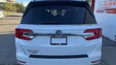 2020 Honda Odyssey | Stampede Auto
